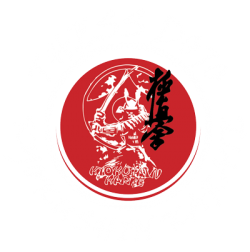kyokushin karate thessdojo